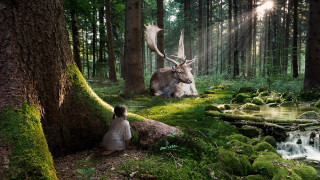Woman forest deer statue stream - surreal photography free wallpaper