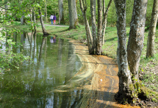 Dirt path river trees park - florence engelbach free wallpaper