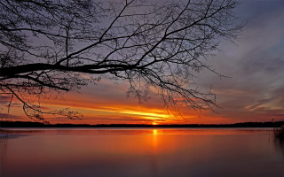 Sunset lake tree branch clouds 2 - over a lake free wallpaper