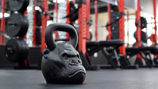 Black kettle gorilla gym 3d - alex petruk ape free wallpaper