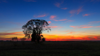 Sunset tree field clouds mountains - a sunset in the background free wallpaper