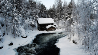 Cabin woods stream snow trees - a cabin free wallpaper
