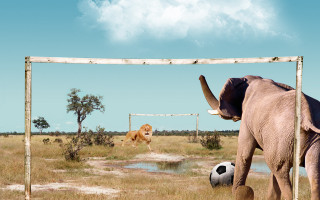 Elephant kicking soccer dog goal - magical realism free wallpaper for desktop