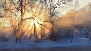 Sunbeam trees snow river winter - impressionist free wallpaper