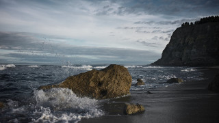 Large rock beach ocean birds - a large rock free wallpaper