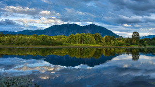 Lake mountain forest clouds sky - a forest in the foreground free wallpaper