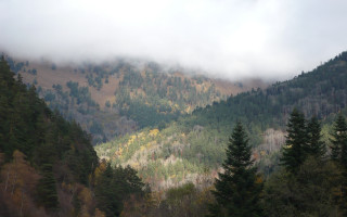 Mountain forest clouds sunset nature - a forest in the background free wallpaper