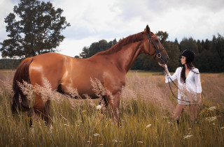 Woman horse field tree photorealistic - photorealistic free wallpaper for desktop