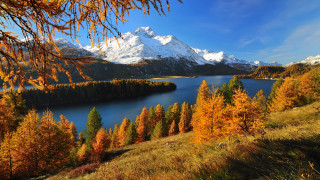Lake mountain forest autumn sunset - a jigsaw puzzle free wallpaper
