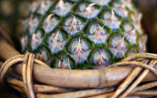 Pineapple basket wooden handle green - a green leafy background free wallpaper