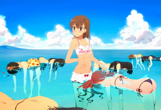 Woman bikini water animals blue - a group of animals free wallpaper