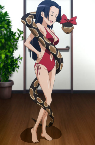 Woman red swimsuit snake potted - a snake free wallpaper