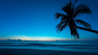 Palm beach sunset ocean sky - the background and the ocean in the foreground free wallpaper