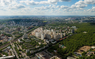 City trees skyline bridge water - aerial free wallpaper