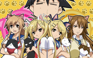 Anime characters cats shoulder group - cat free wallpaper