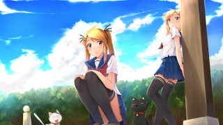 Girl sitting pole cat girl - a cat in front free wallpaper
