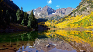 Mountain lake trees yellow leaves - impressionist free wallpaper