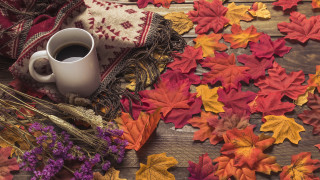Autumn leaves coffee blanket dried - regionalism free wallpaper