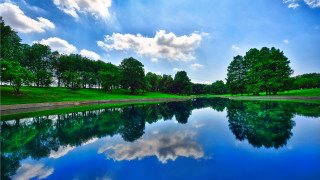 Lake forest sky clouds grass - a grassy area free wallpaper