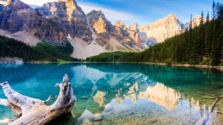 Lake tree stump mountains blue - bob ross free wallpaper