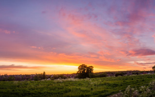 Sunset tree field clouds hills - a tree and a sunset in the background free wallpaper