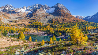 Mountain lake trees rocks snow - the foreground and a snow free wallpaper