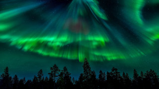 Aurora borealis night forest stars - star and a moon free wallpaper