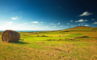 Hay bale grassy field blue - a grassy field free wallpaper