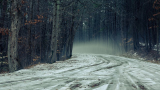 Snowy woods road matte painting - the side of the road free wallpaper