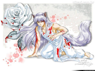 Woman long hair white dress - blood free wallpaper