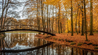 Autumn bridge pond park trees - a few yellow leaf free wallpaper