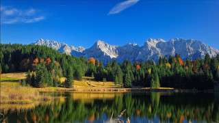 Lake mountains trees bird landscape - alen divi free wallpaper