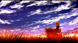 Girl red dress field clouds - ufotable free wallpaper