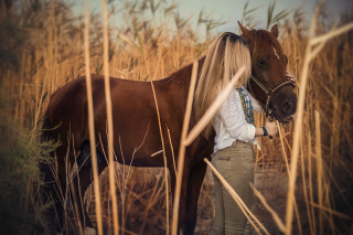 Woman horse field blonde bicycle - a horse free wallpaper