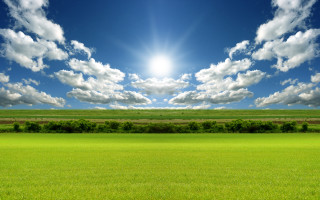 Sunny field mountains trees ocean - a field of grass below free wallpaper