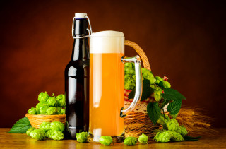 Beer bottle glass hops basket - barthel bruyn free wallpaper