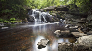 Waterfall forest rocks green trees - a forest area free wallpaper