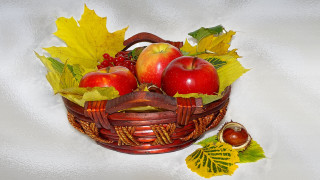 Basket apples fruit fall vibrant - other fruit free wallpaper