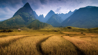 Field mountains dirt path sunset - andrew law free wallpaper