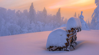 Snowy bench dusk mountain trees - dawn free wallpaper