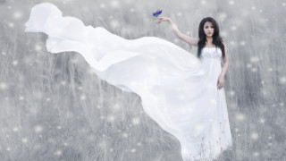 Woman white dress blue bird - a white dress holding free wallpaper