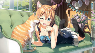 Woman cat couch blush blue - a cat and a cat free wallpaper