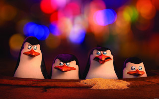 Penguins googly eyes bright background - dramatic cinematic lighting free wallpaper