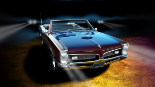 Car dog spotlight photorealism airbrush - a spotlight free wallpaper