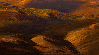 Valley stream hillside trees tiltshift 2 - the hillside free wallpaper