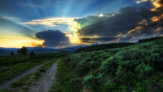 Dirt road green field sun - a lush green field under a cloudy sky free wallpaper