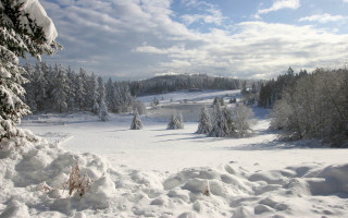Snowy landscape trees hill clouds - bela čikoš sesija free wallpaper