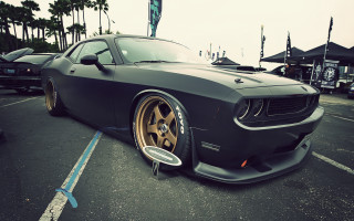 Black car parking lot palm - cafer bater free wallpaper
