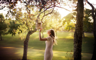 Woman birdcage park autumn sunset - the branch free wallpaper