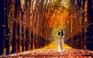 Woman forest dress leaves autumn - a long dress free wallpaper